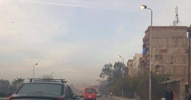 قارئ يرصد أعمدة إنارة مضاءة نهارا بطريق مطار النزهة بالإسكندرية