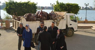 ضبط 51 حمارا مذبوحا محملة على سيارة وحبس السائق والتاجر 4 أيام بكفر الشيخ