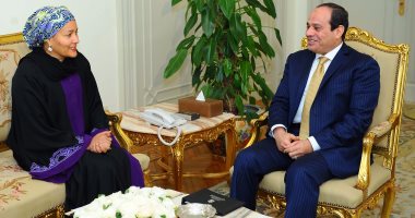 السيسى يتسلم رسالة من الرئيس النيجيرى للتنسيق بين البلدين