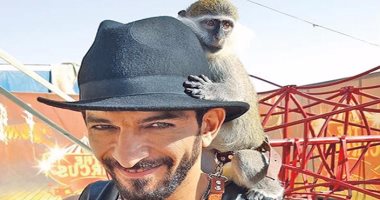 ننشر آخر إيرادات الأفلام فى دور العرض.. "القرد بيتكلم" يحقق 9 ملايين جنيه