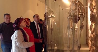 بالصور.. "الآثار" تنفذ سيناريو العرض المتحفى بمتحف الصيد