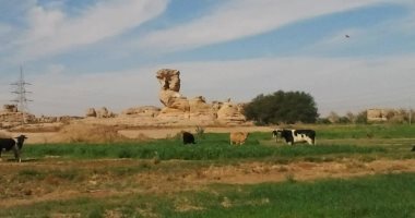 بالصور.. مدير السياحة بالوادى الجديد: محافظتنا أفضل وجهة للسياحة بالشتاء