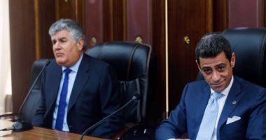 نجل عبد الناصر من البرلمان: إفريقيا شريان الحياة لمصر