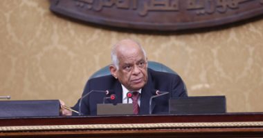 على عبد العال: توجد ضمانات للمواطنين مصاحبة لفرض حالة الطوارىء