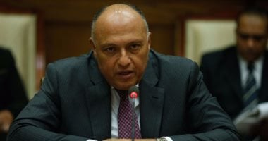 وزير الخارجية: أمن الخليج جزء لا يتجزأ من الأمن القومى المصرى