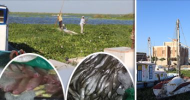 "بحيرة المنزلة" كنز غارق فى إهمال الحكومة.. مصرف بحر البقر شريان التلوث.. الصيادون يبيعون المراكب لشراء "التوك توك" بعد كساد مهنتهم.. ويؤكدون: "الحالة الأمنية وتلوث المياه أجبرنا على ترك أعمالنا"