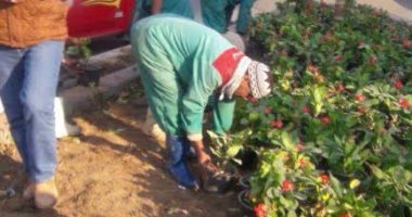 حى مصر الجديدة يبدأ تنفيذ خطة تطوير ميدان روكسى ويزيل منه الاشغالات 