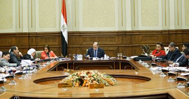 لجنة التضامن بالبرلمان تناقش اليوم مشروع قانون الأمومة والطفولة 