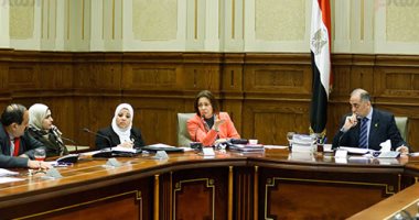 "تضامن البرلمان": نسعى لإقرار قانون ذوى الإعاقة خلال دور الانعقاد الحالى