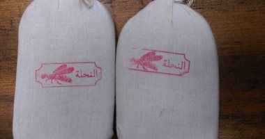 رفض دعوى تطالب بعدم دستورية المادة "33" من قانون مكافحة المخدرات