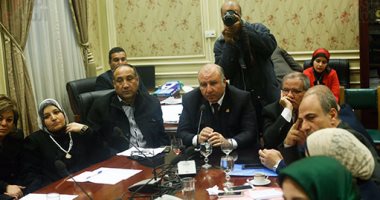 لجنة الشباب تقرر تكريم المنتخب فى البرلمان.. وتؤكد: عصام الحضرى أسطورة