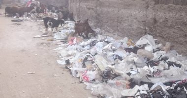أهالى شارع "ترعة الزمر" بأرض اللواء يشتكون من تراكم القمامة