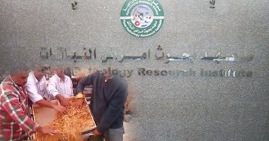 س وج.. ما تريد معرفته عن منع زراعة التبغ فى مصر وخطرة على التربة.. 9 أسباب تشرح قرار منعه.. منها عدم جدواه اقتصاديا وتهديده العائلة النباتية بالأمراض.. والحكومة المستفيد الأول لرفع جمارك المستورد