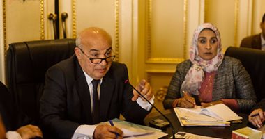 وكيل "تشريعية النواب": القضاء والبرلمان يشدان من عضد الدولة المصرية