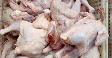 إعدام كمية من اللحوم غير صالحة للاستخدام الآدمى فى نجع حمادى بقنا 