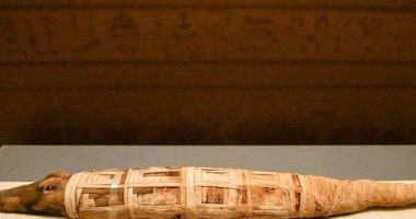 ضبط 6 أشخاص لقيامهم بالتنقيب عن الآثار داخل عقار بالمطرية