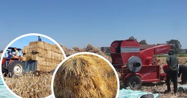8 رجال أعمال يقدمون شهادات لـ"الكسب" بتصالحهم فى "فساد القمح".. طالبوا الجهاز بتسوية قضاياهم بعد سداد 350 مليون جنيه.. والتحريات: أصحاب الصوامع خلطوا القمح المحلى بالمستورد للاستفادة بـ500 جنيه فارق سعر الطن