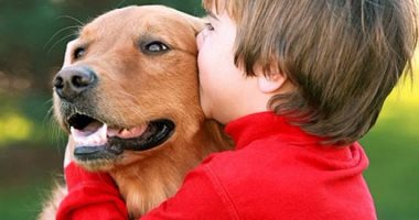 5 نصائح لازم تعرفها قبل ما تفكر تربى كلب.. مكان الشراء والتطعيمات أهمها