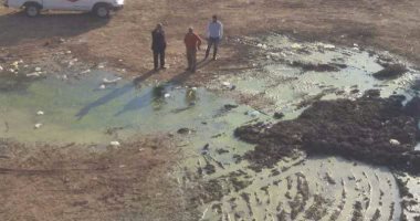 أهالى مدينة سيدى غازى بكفر الشيخ يطالبون ببناء معهد أزهرى