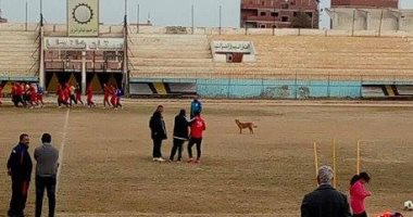  شاهد.. "كلب" يقتحم تدريبات فريق طنطا