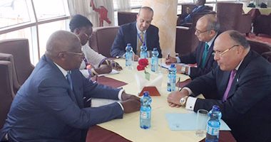 سامح شكرى يؤكد استعداد مصر للمشاركة فى قوة الحماية الإقليمية بجنوب السودان