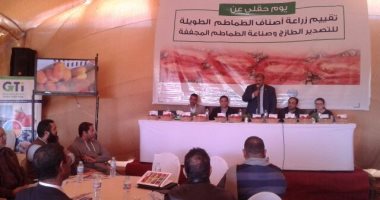 بالصور.. "يوم حقلى" يعرض نتائج تجربة زراعة 6 أصناف طماطم جديدة بالأقصر