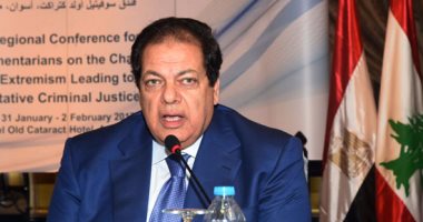 محمد أبو العنين: القوات المسلحة والشرطة المصرية نجحا فى دحر الارهاب