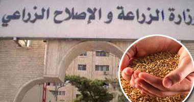 زراعة المنوفية تقيد استخدام مبيدات غاز الفوسفين فى حفظ الغلال