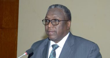 نائب الرئيس السودانى يدشن حملة لجمع السلاح فى ولايات كردفان