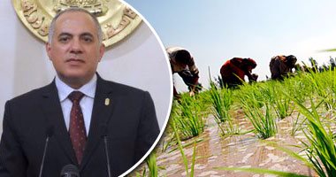 الرى ترفع الطوارئ لاستقبال "الصيف".. تدشين غرفة عمليات مركزية وربطها بالمحافظات.. وخط ساخن لتلقى شكاوى النقص.. زيادة المنصرف من مياه النيل تدريجياً حتى منتصف مايو.. والسماح بزراعة مليون و76 ألف فدان أرز