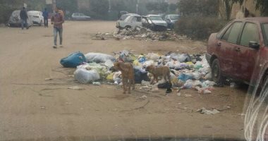 بالصور.. شكوى من تراكم القمامة بمساكن الضباط بزهراء مدينة نصر