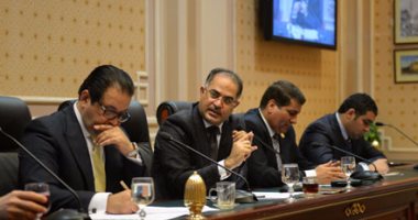 بالصور.. وكيل البرلمان يرأس اجتماع حقوق الإنسان مع منظمات المجتمع المدنى