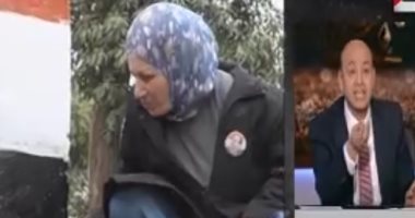 عمرو أديب: سيدة تقوم بتجميل كوبرى المانسترلى والحى يرفض التعاون معها