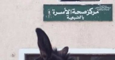 بالصور.. قارئ يرصد حيوانات داخل مركز صحة الأسرة بالضبعية بالأقصر