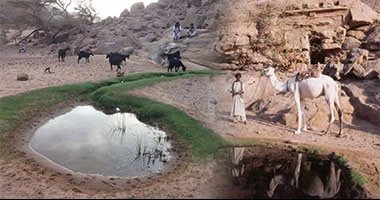 "وادى سعفة" جنة طبيعية منذ عصور ما قبل التاريخ.. تحوى نقوش آثرية من العصور المختلفة.. أهالى المنطقة يستخدمون مياهها فى حياتهم اليومية.. ويؤكدون لن تنقطع إطلاقا.. ومنظمة الفاو استخدمتها فى الزراعة