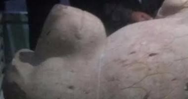 فلاح بالشرقية يعثر على تمثال أثري يزن طنا ويسلمه للشرطة