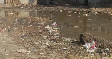 أهالى قرية الجزيرة الخضراء بكفر الشيخ يشكون تراكم القمامة ومياه الصرف الصحى