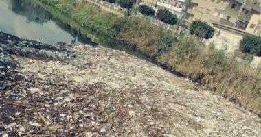 بالصور..أهالى "ميت الخولى" بالدقهلية يشكون من تراكم القمامة بالترعة الرئيسية بالقرية 