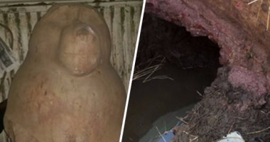 بالصور.. سائق يسلم تمثالا أثريا وزنه طن لمركز الشرطة بالشرقية.. ومتهمون ينتحلون صفة مسئولين ورجال أعمال للاستيلاء على مقبرة من العصر الرومانى.. والأمن يحبط مخططهم