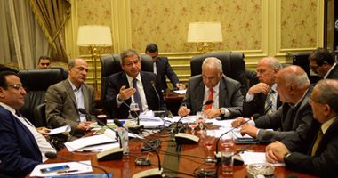 لجنة شباب البرلمان تستدعى رئيس اتحاد المصارعة بسبب "مصارع الشاورما"
