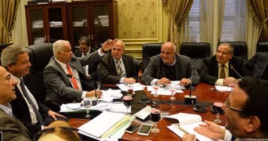بالصور.. اجتماع مشترك غدا بين لجنتى الشباب والتشريعية لحسم مصير قانون الرياضة