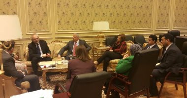 "العلاقات الخارجية بالبرلمان": الوزارة خفضت عدد ممثليها بسفارات مصر فى الخارج