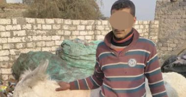 أهالى منيا القمح يسلمون تاجر خردة للأمن لقيامه بذبح حمير بالشرقية