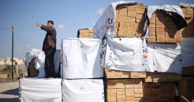 تنمية مستدامة.. أهم المعلومات عن مشروعى الألواح الخشبية وإنتاج الإيثانول الحيوى