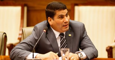 النائب على بدر: ندعم القيادة السياسية لوأد أى مخطط يستهدف النيل من سيادة مصر