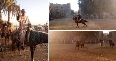 بالصور.. "المرماح سباق فى حضرة الأولياء".. تراث صعيدى ورسائل فى الفخر والعزة.. يتكرر فى الموالد والأفراح.. والفرس الفائز يجلب الحظ.. وأبو تريكة والحضرى والقصبجى أشهر الخيول فى ذاكرة القنائيين