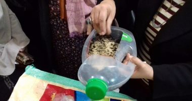 "قومى المرأة" بالإسكندرية ينظم ورشة عمل حول زراعة أسطح المبانى