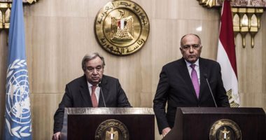 وزير الخارجية: مصر تدعم المسار السياسى فى سوريا بشكل كامل