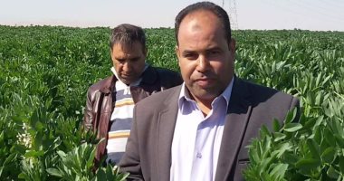 أمين نقابة الفلاحين بجنوب سيناء يطالب بتوفير الكهرباء وحل مشكلة الطاقة‎