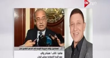 عضو "اقتصادية النواب": الدعم النقدى سيقضى على الفساد والمتاجرة بالنقاط